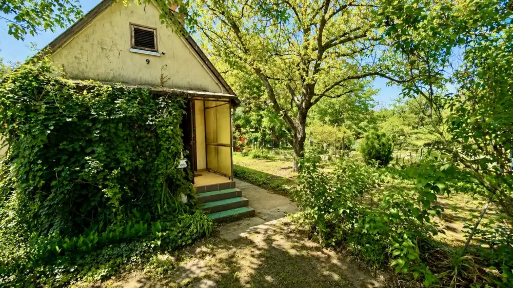 Pest megye - Dunaharaszti