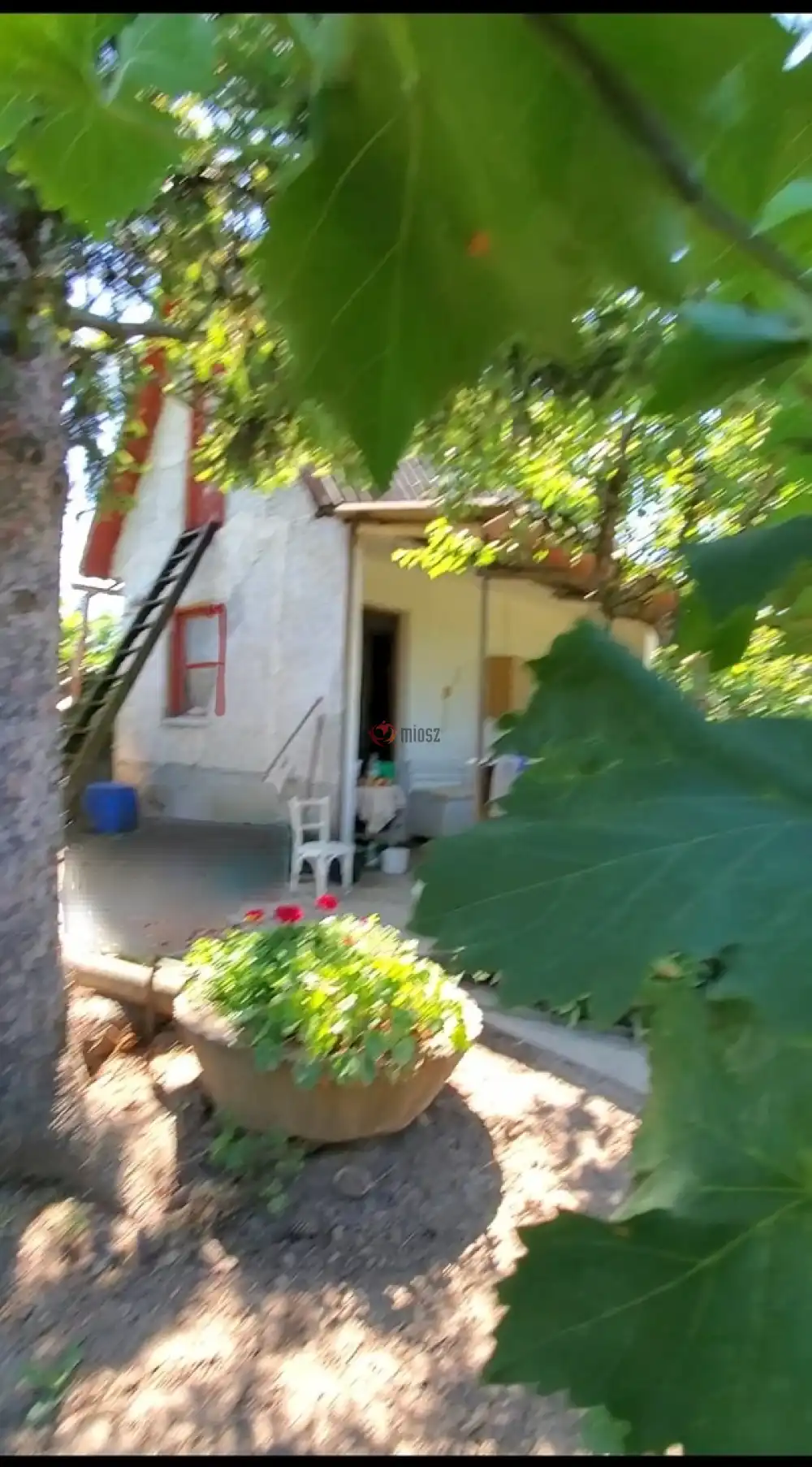 Fejér megye - Dunaújváros