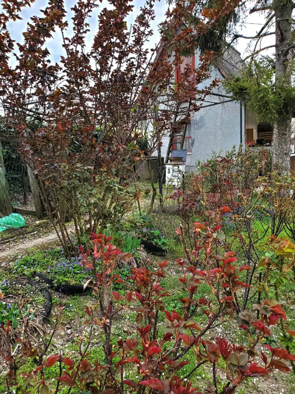 Fejér megye - Dunaújváros