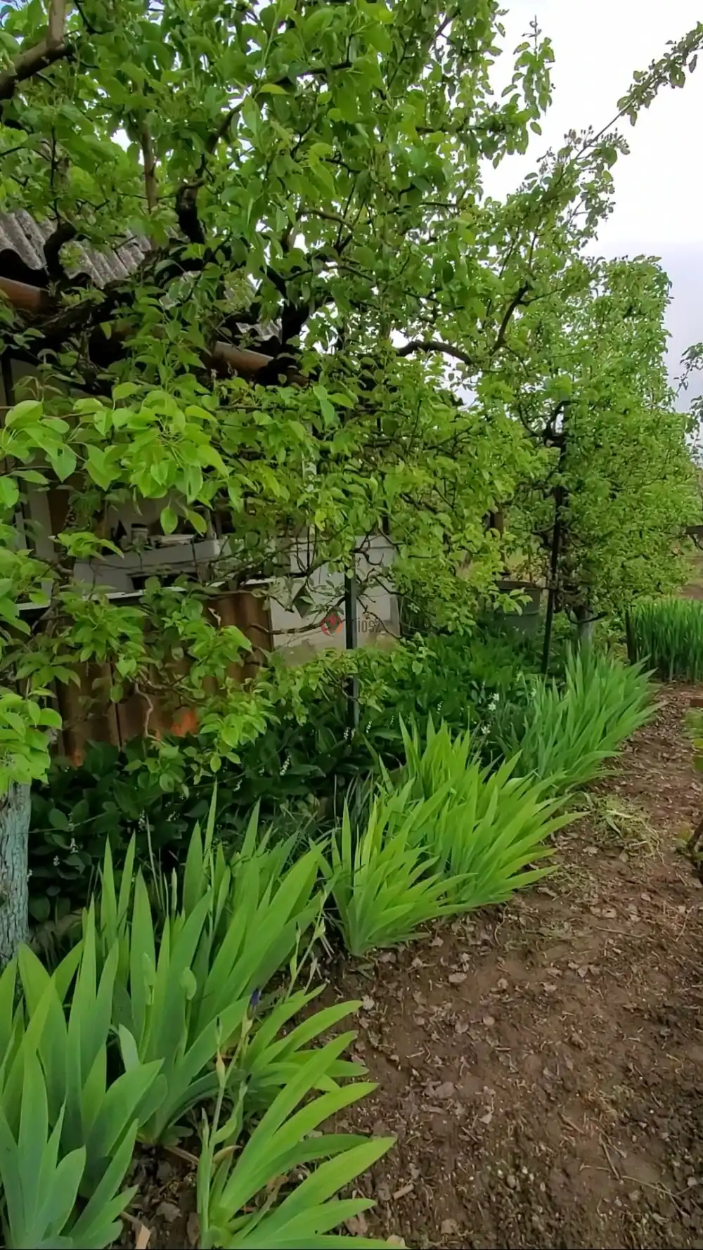 Fejér megye - Dunaújváros