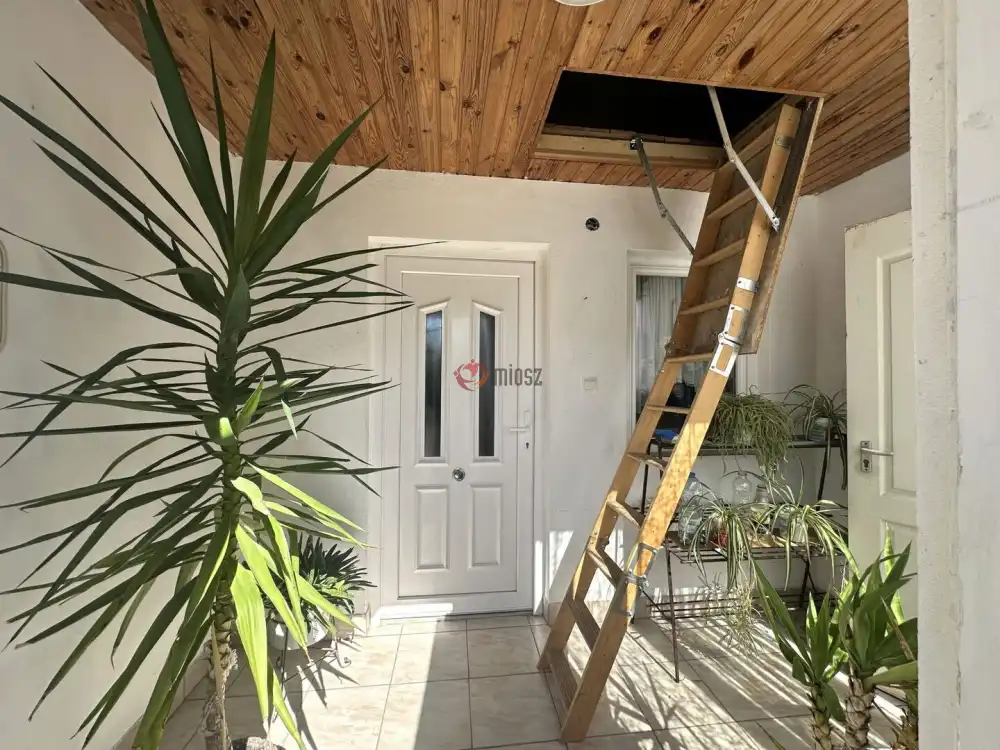 Csongrád megye - Kiskundorozsma