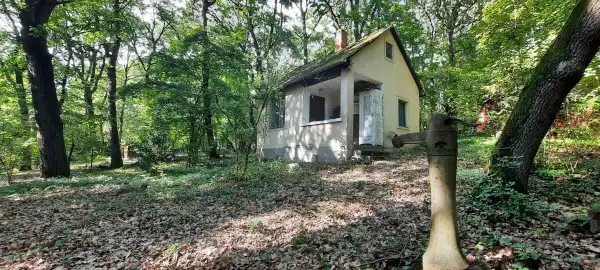 Eladó nyaraló, Kismaros 1 szoba 18 m² 29.9 M Ft