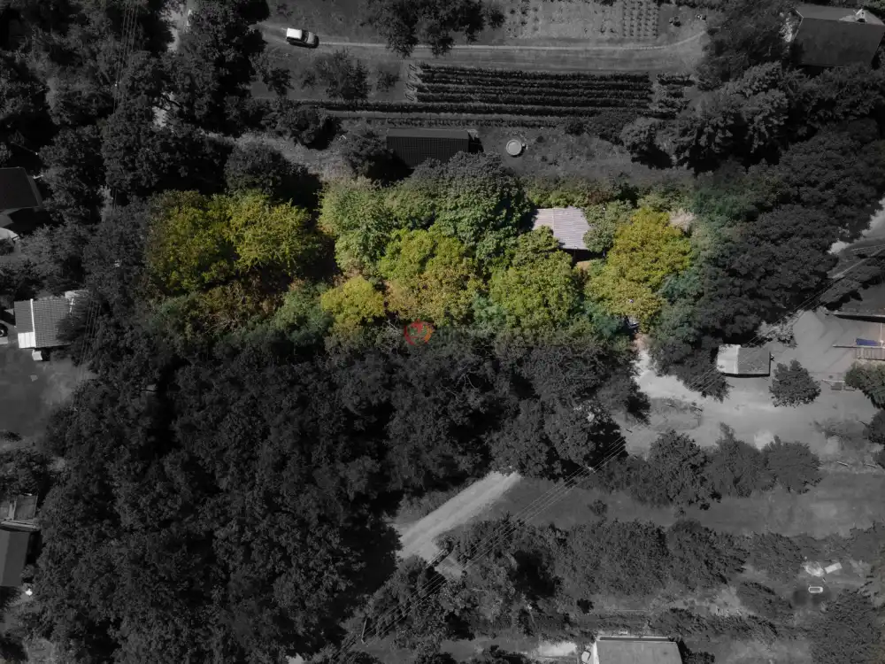 Pest megye - Kismaros