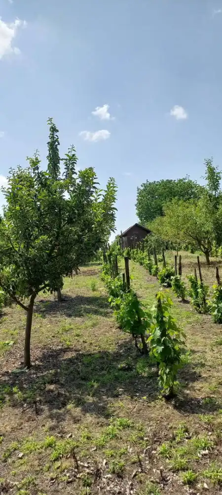 eladó nyaraló, Kulcs