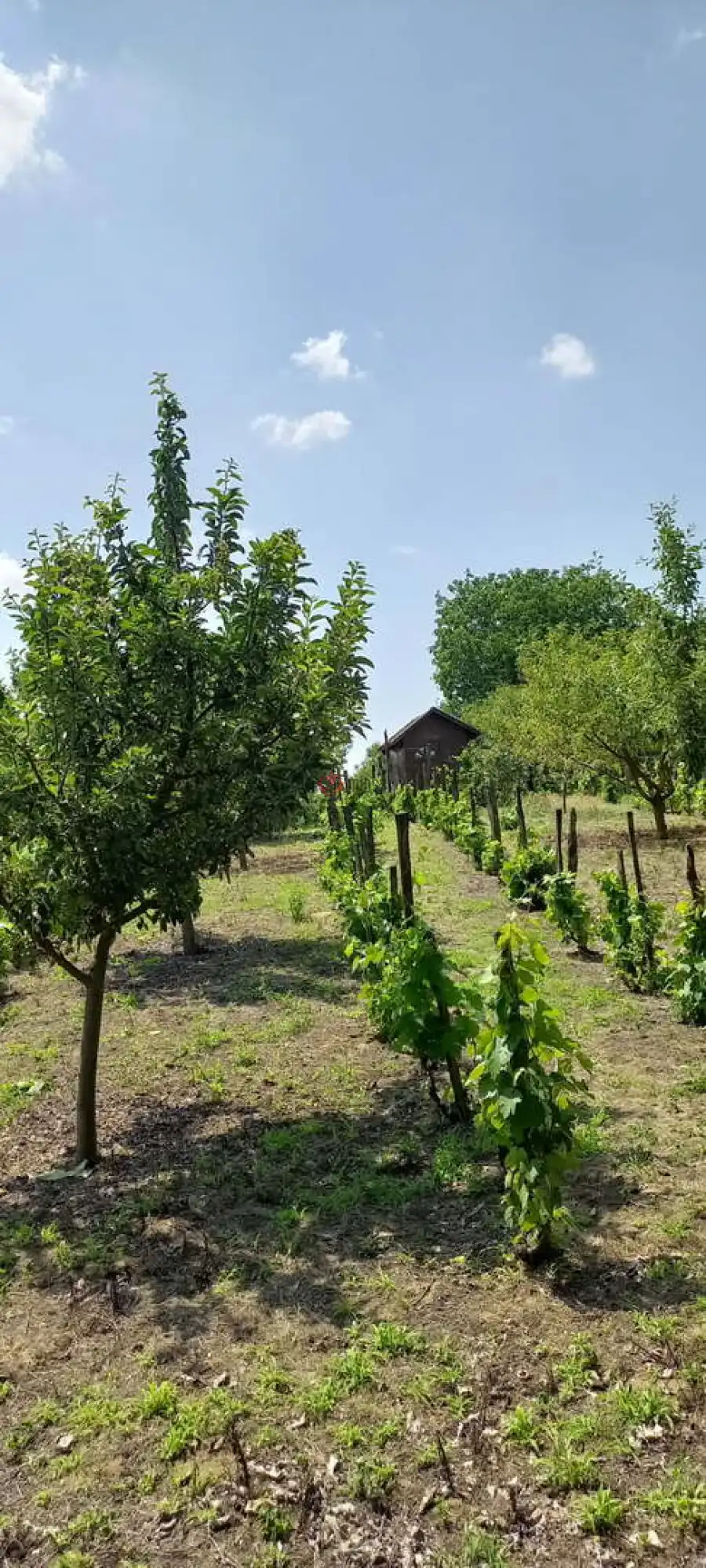 eladó nyaraló, Kulcs