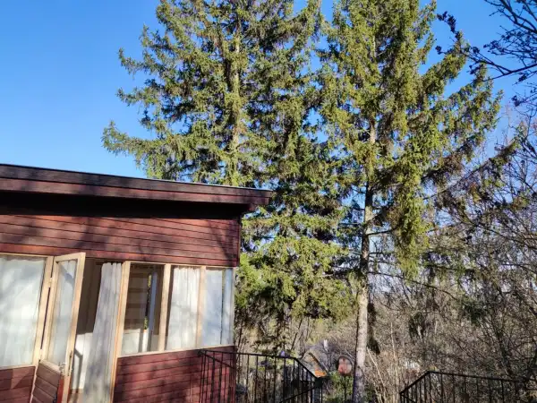 Eladó nyaraló, Leányfalu 2 szoba 32 m² 35 M Ft