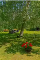 Pest megye - Nagymaros