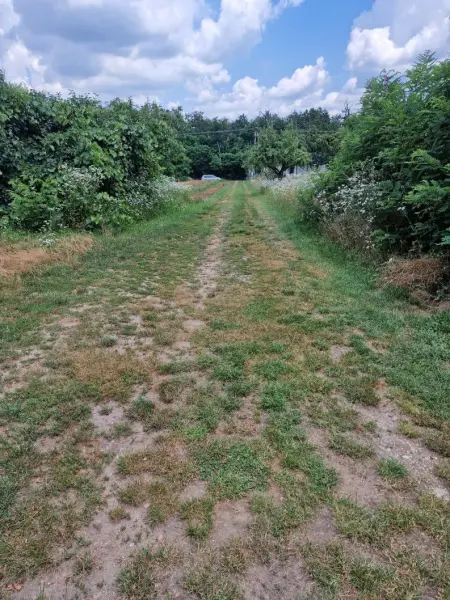 eladó nyaraló, Oroszlány
