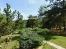 Heves megye - Parád