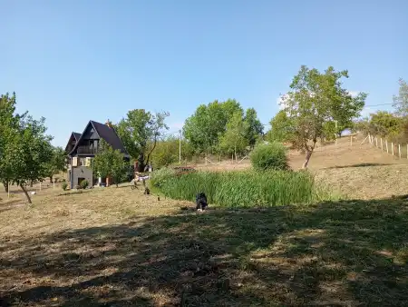 eladó nyaraló, Pásztó