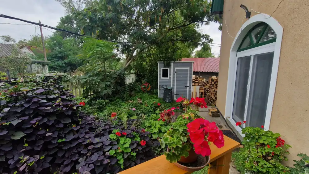 Pest megye - Ráckeve