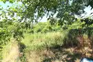 Pest megye - Szigetszentmiklós