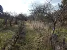Komárom-Esztergom megye - Tata
