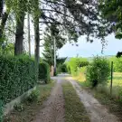 Pest megye - Vác