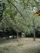 Pest megye - Verőce
