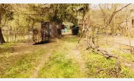 eladó nyaraló, Verőce