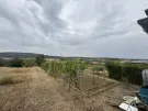 Komárom-Esztergom megye - Vértestolna