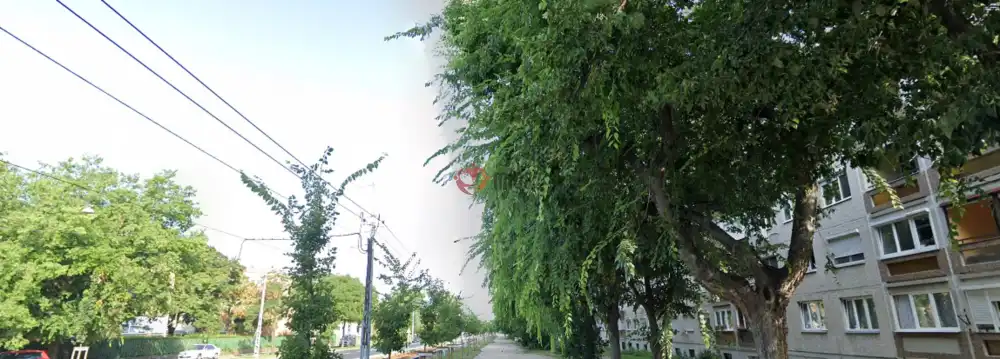 Budapest, XIV. kerület - Alsórákos