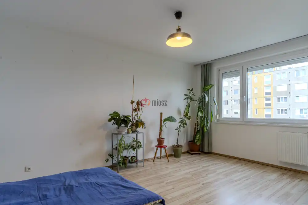 Budapest, XIX. kerület - Kispesti ltp.