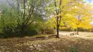 Fejér megye - Dunaújváros