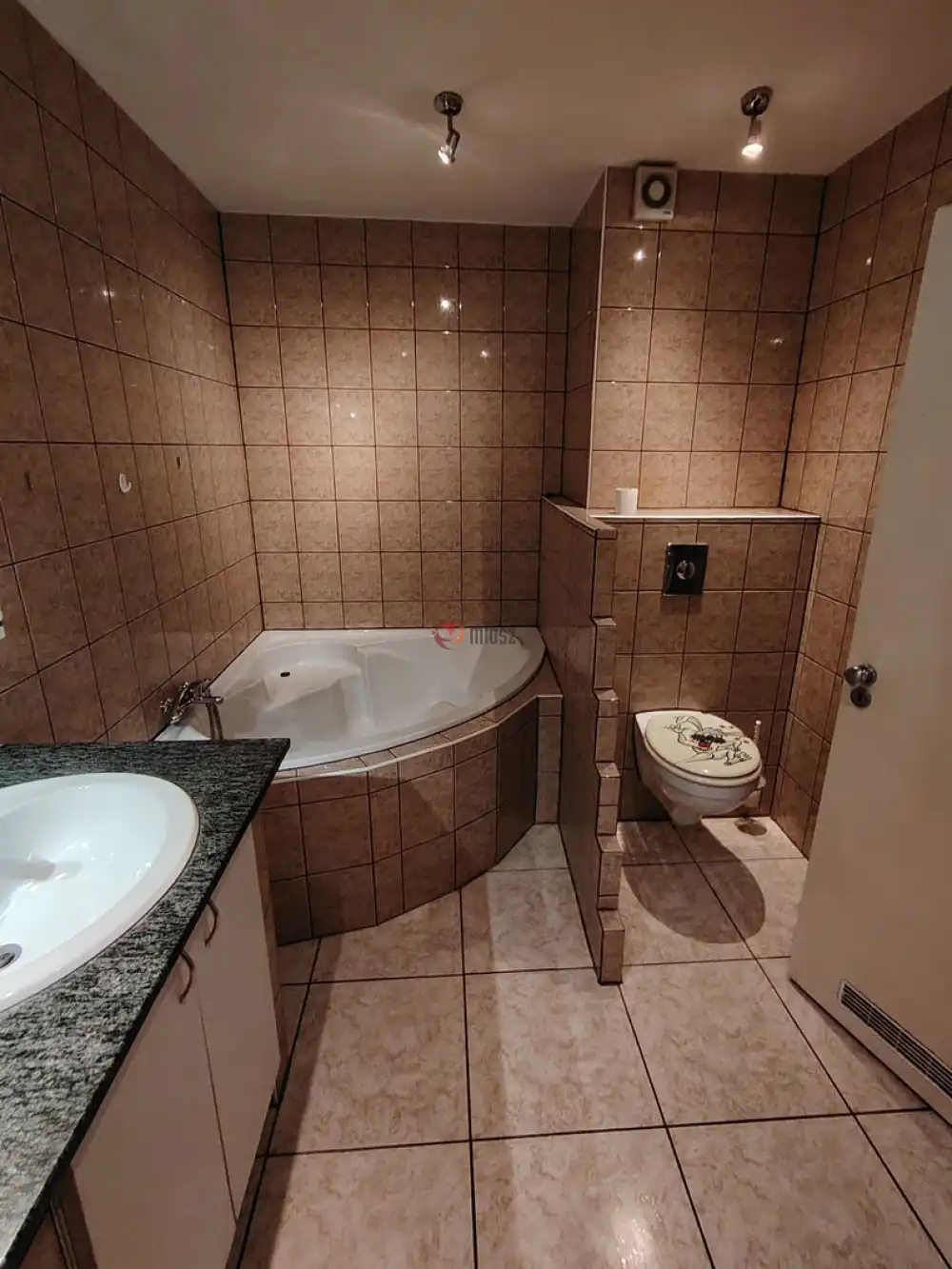 Fejér megye - Dunaújváros