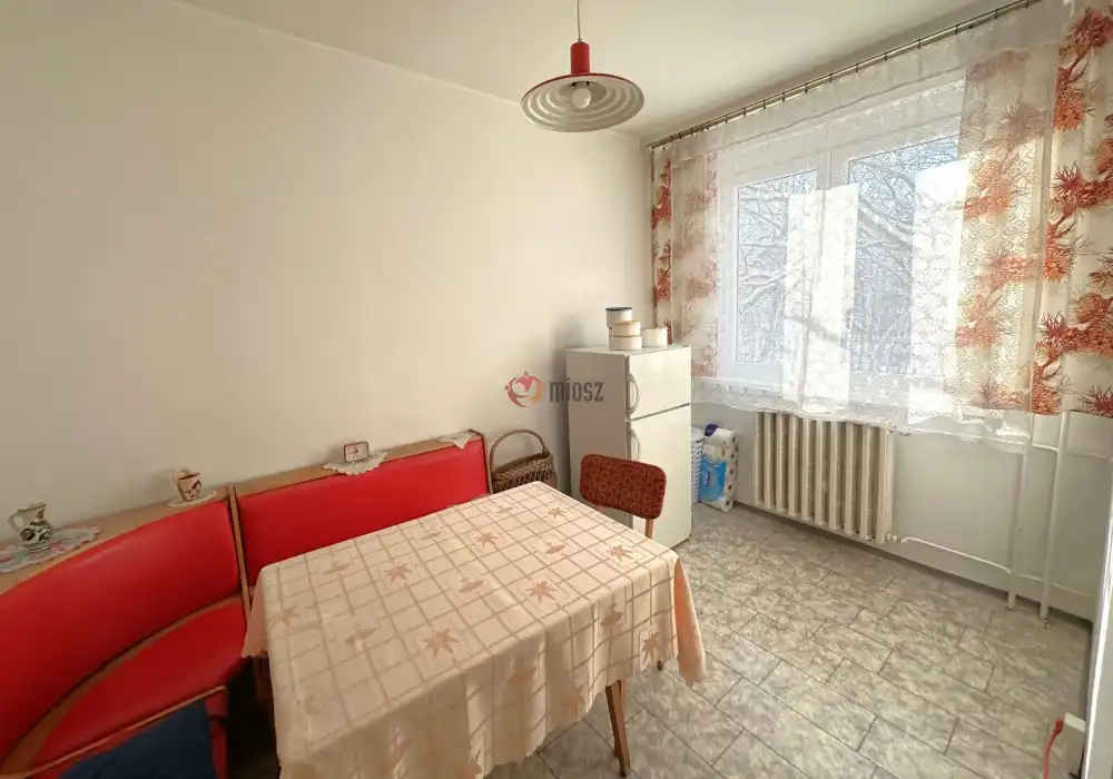 Csongrád megye - Szeged