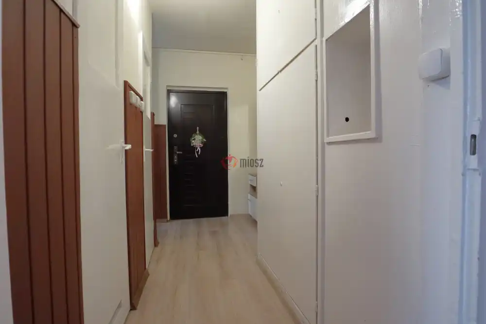 Csongrád megye - Szeged