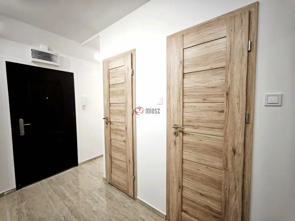 Csongrád megye - Szeged