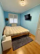 Csongrád megye - Szeged