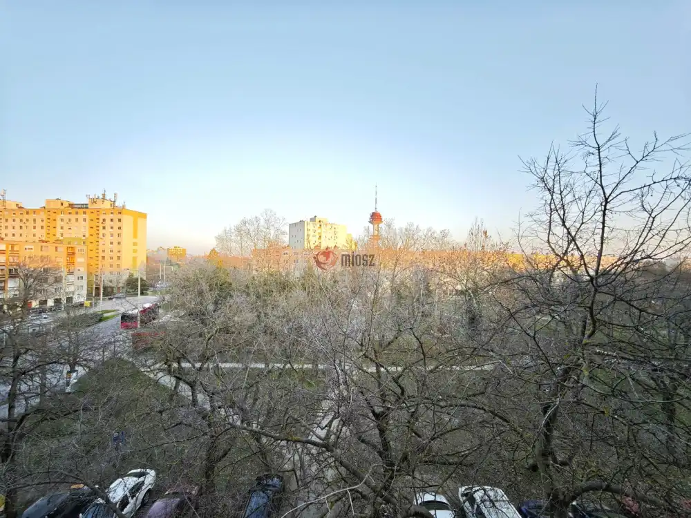 Csongrád megye - Szeged