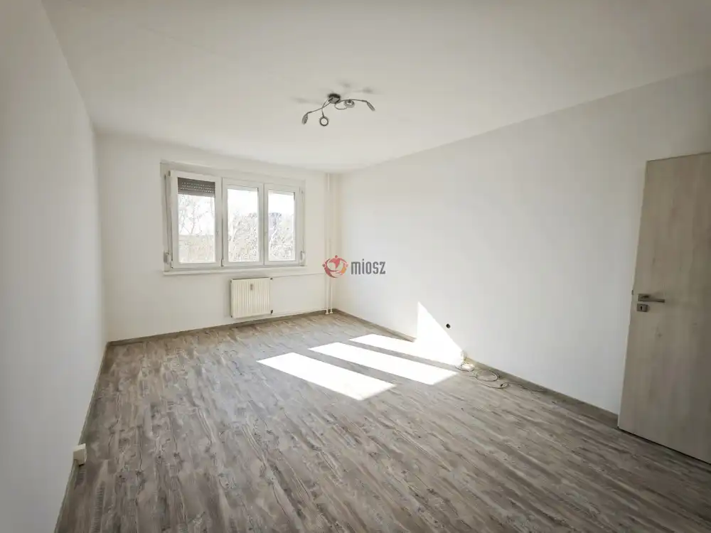 Csongrád megye - Szeged