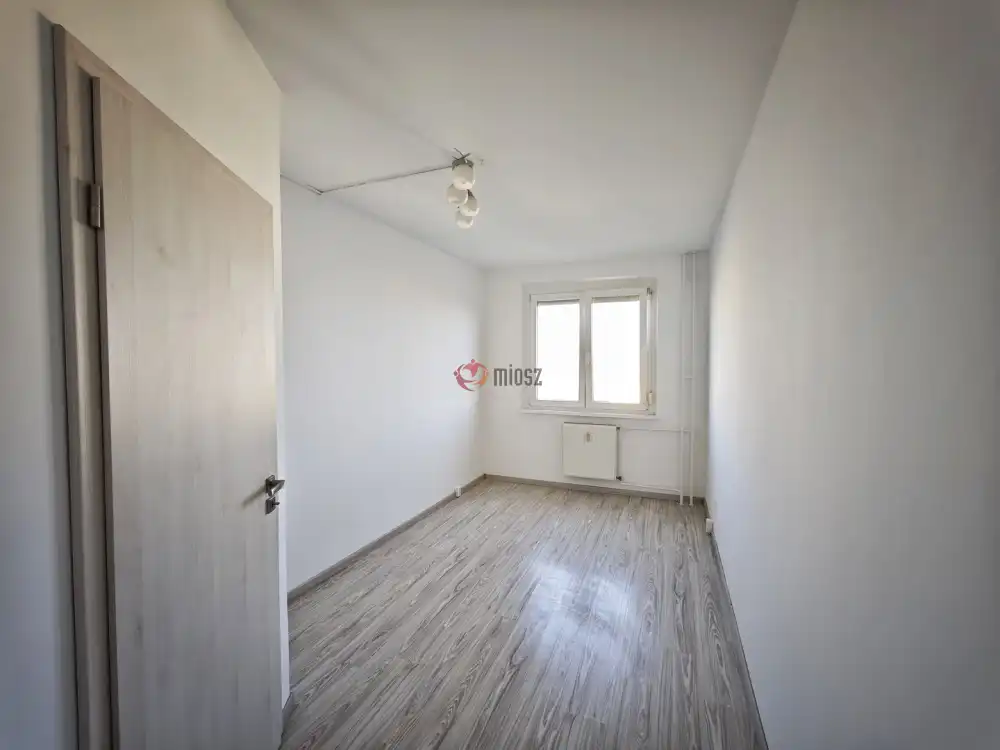 Csongrád megye - Szeged