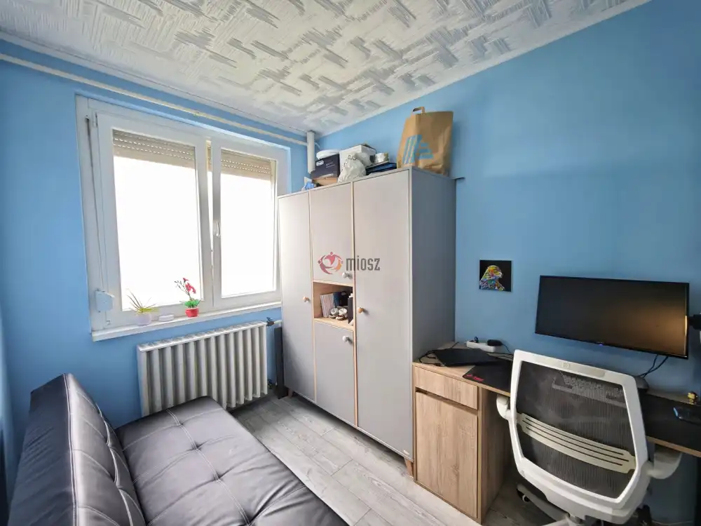 Csongrád megye - Szeged