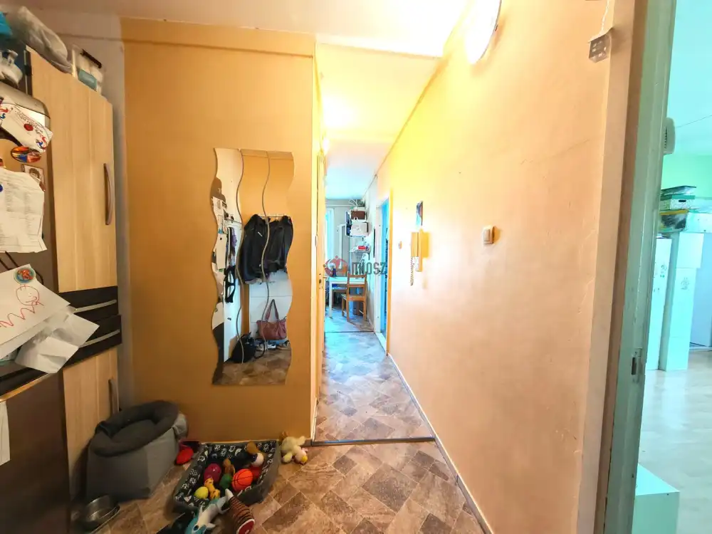 Csongrád megye - Szeged