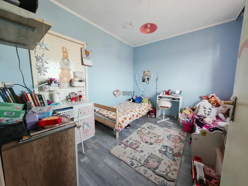 Csongrád megye - Szeged