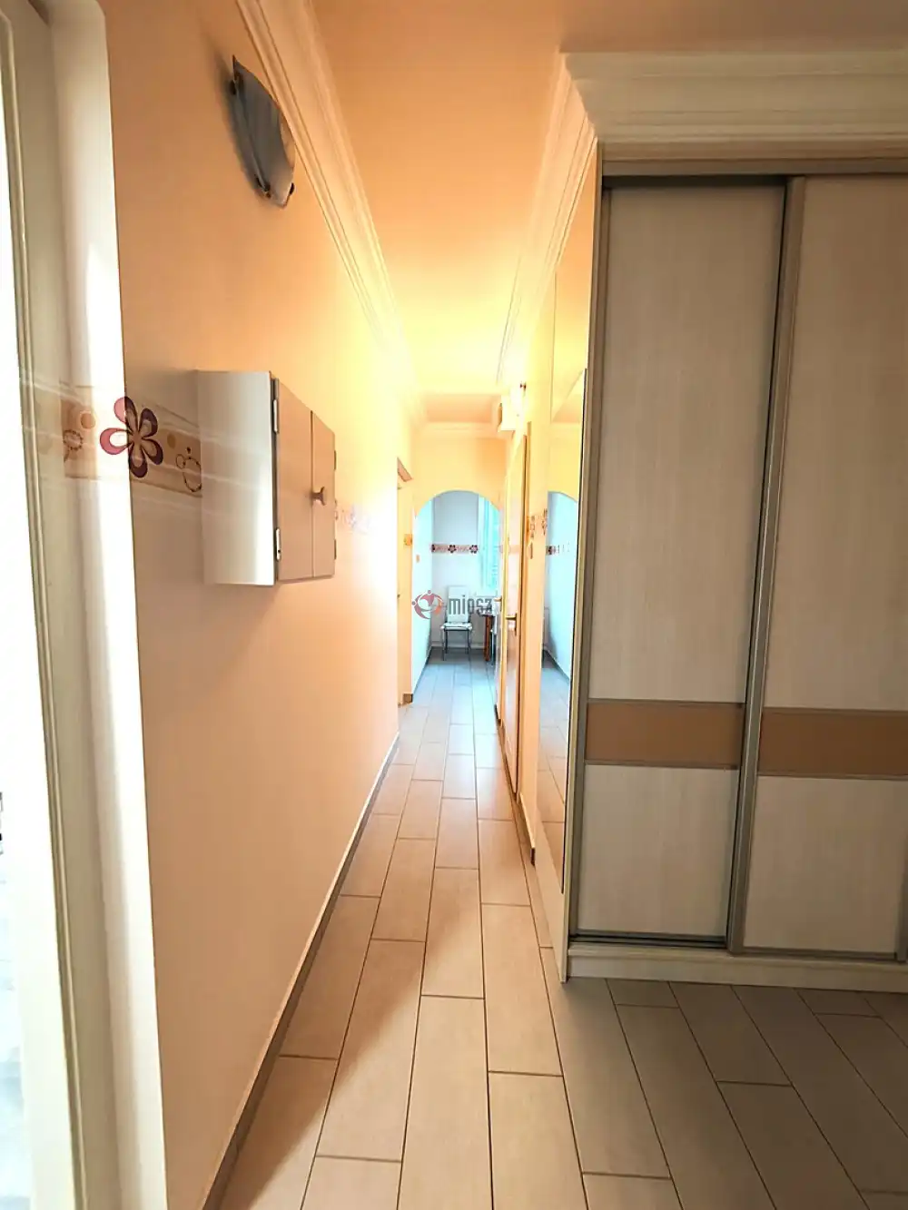 Csongrád megye - Szeged