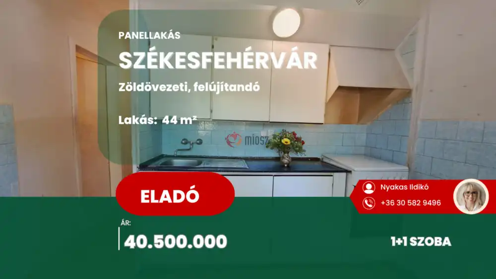Fejér megye - Székesfehérvár