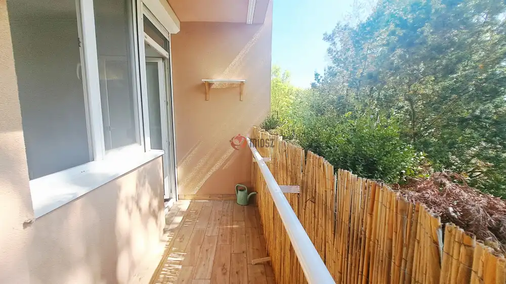 Fejér megye - Székesfehérvár