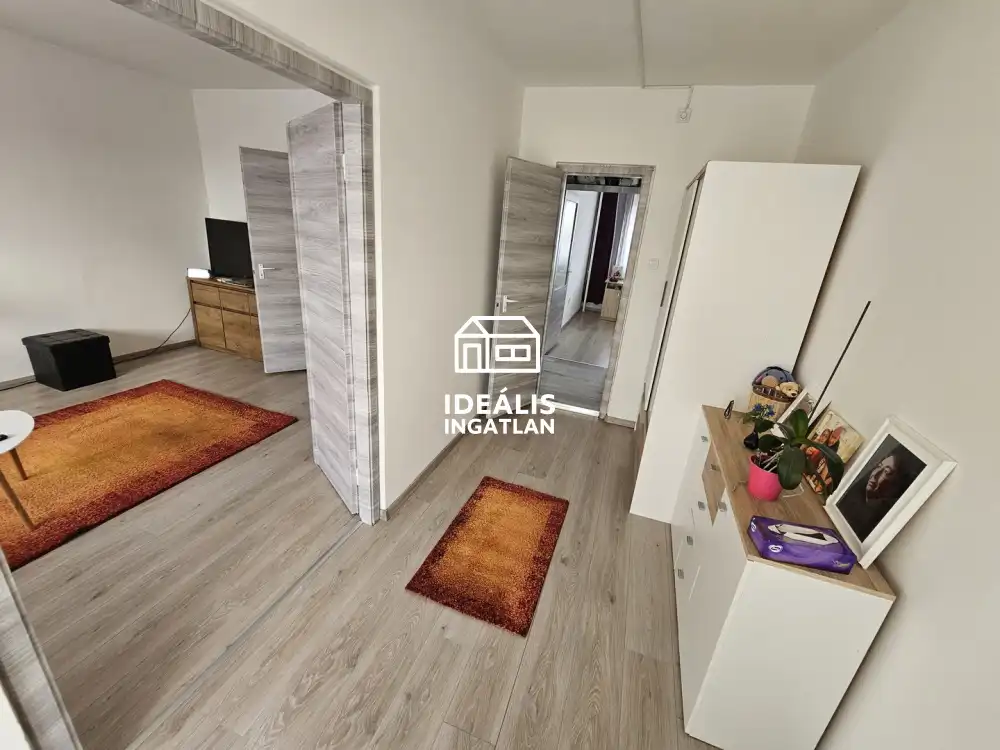 Borsod-Abaúj-Zemplén megye - Tiszaújváros