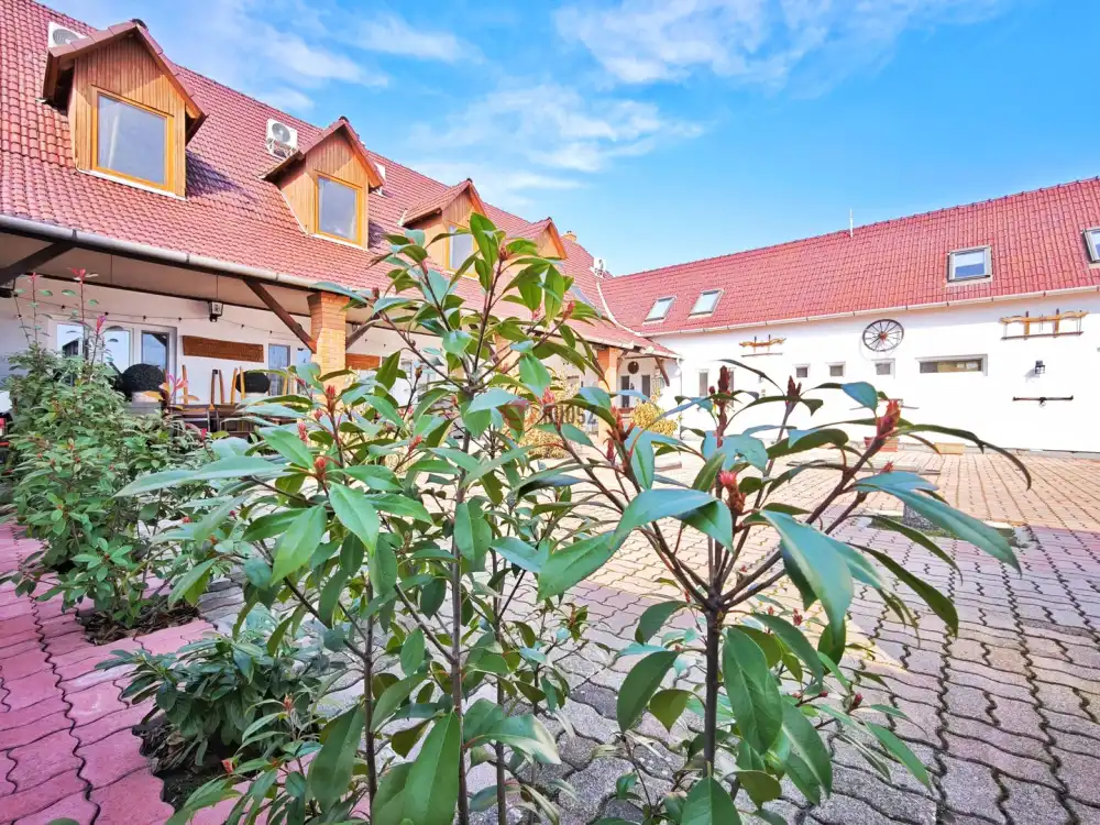 Csongrád megye - Baks