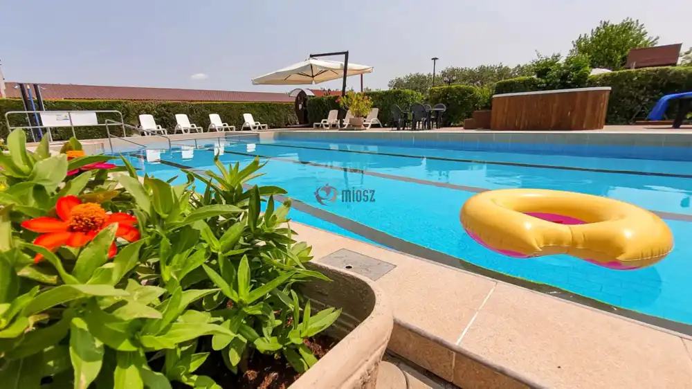 Csongrád megye - Baks