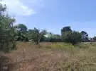 Pest megye - Pilis