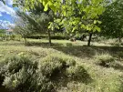 Zala megye - Balatongyörök