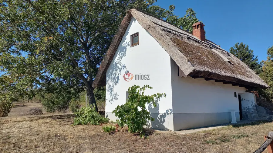 eladó pince, Csákvár