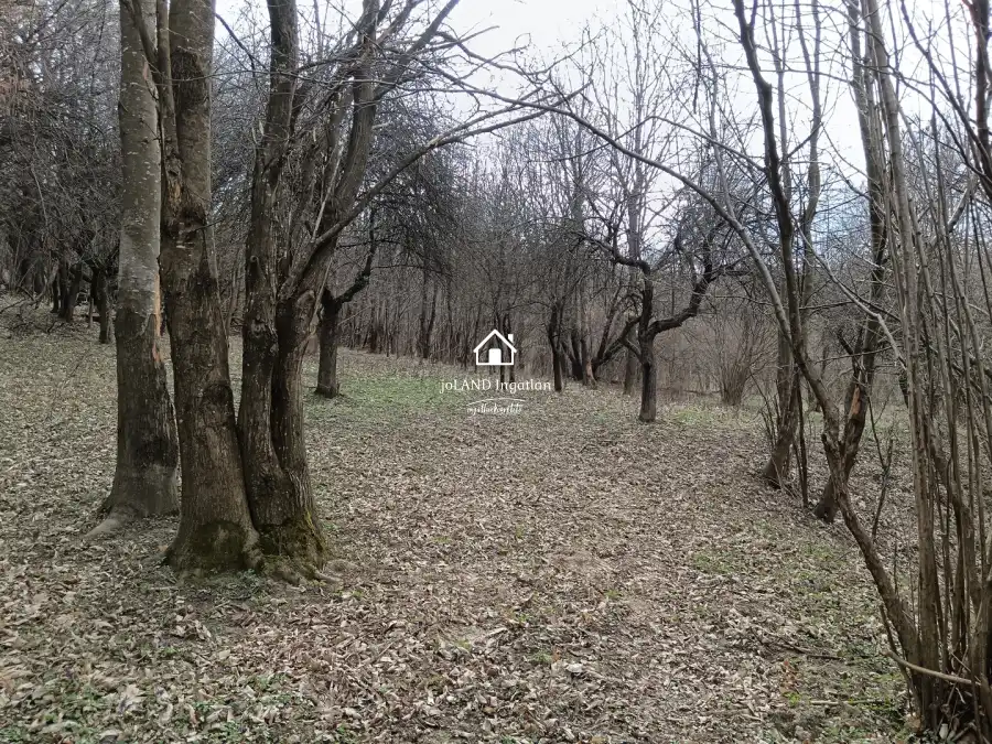 eladó  , Pusztamagyaród