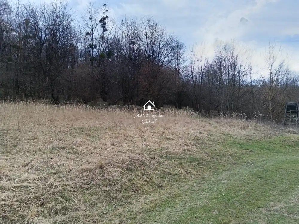 Zala megye - Pusztamagyaród