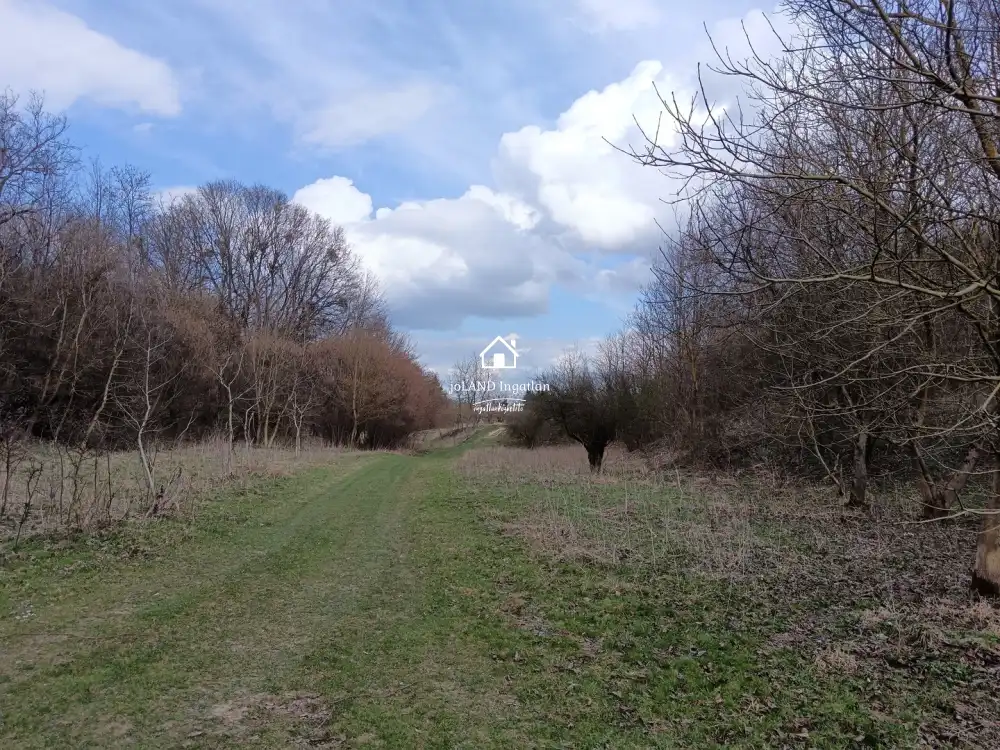 Zala megye - Pusztamagyaród