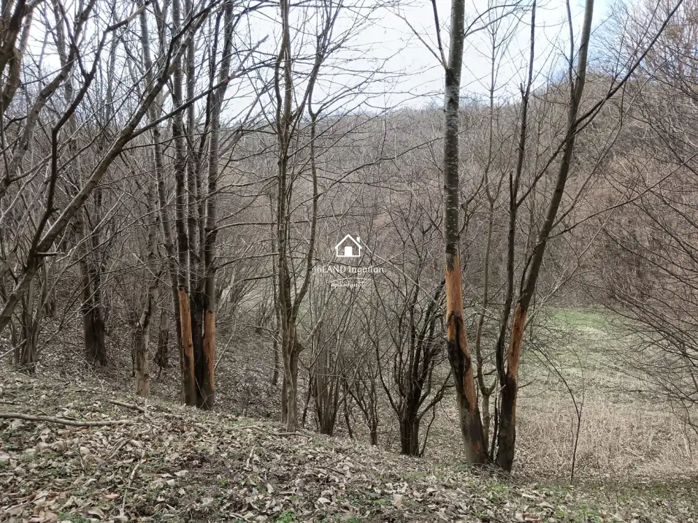 Zala megye - Pusztamagyaród