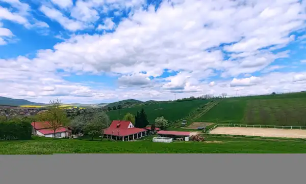 Eladó , Rád 135000 m² 370 M Ft