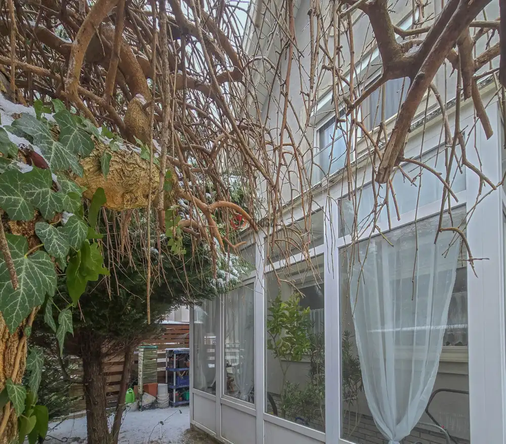 Győr-Moson-Sopron megye - Sopron